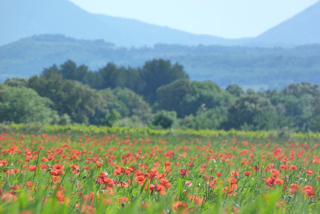 Lodges En Provence - Ecogites & Restaurant Insolites Richerenches ภายนอก รูปภาพ